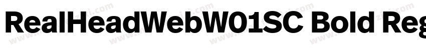 RealHeadWebW01SC Bold Regular字体转换